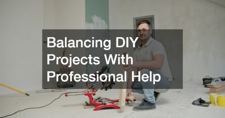 Balancing DIY Projects With Professional Help
